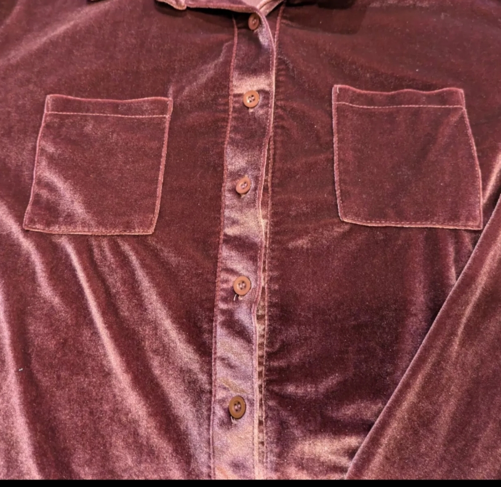 Women's Crushed Velvet Shirt in Plum (Tried on but never worn out.) Size Large